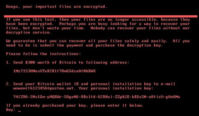 petya2.jpg